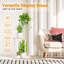Plant Stand-618652292