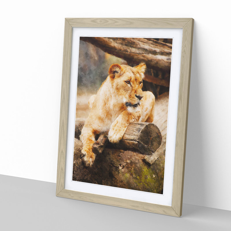 Lioness - Picture Frame Graphic Art, Oak Framed, 36cm H x 27cm W x 2cm D