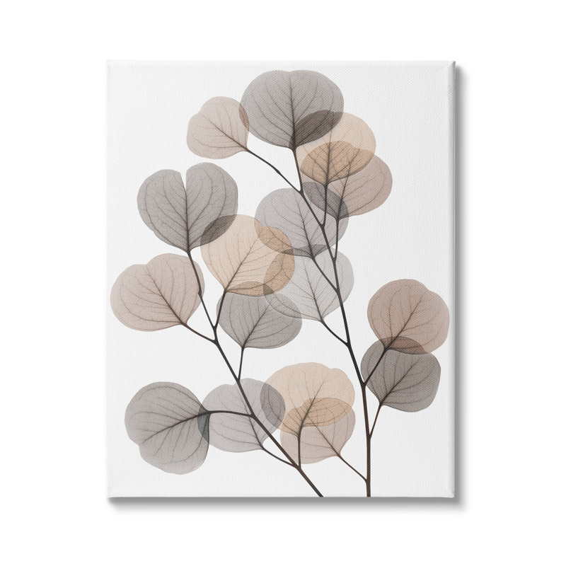Feuilles d'eucalyptus moderne, feuilles translucides brun gris, estampe numérique encadrée, art texturé par Albert Koetsier