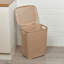 Plastic Laundry Basket-1090351027