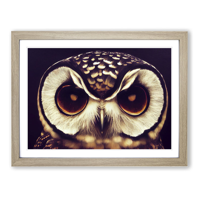 Exquisite Owl - Single Picture Frame Print, 34cm H x 46cm W x 2cm D, Oak Framed