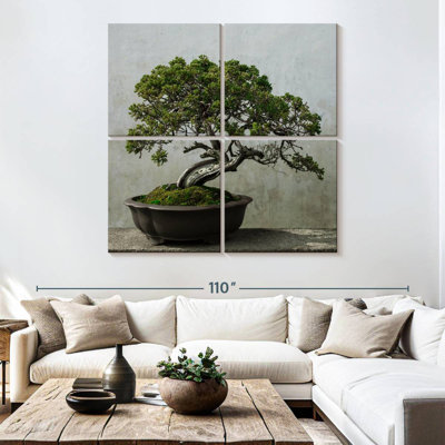 Harnek Pine Tree Bonsai