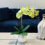 Phalaenopsis Orchid Floral Arrangement in Pot-1204512989