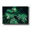 «Tropical» par PhotoINC Studio-1673457844