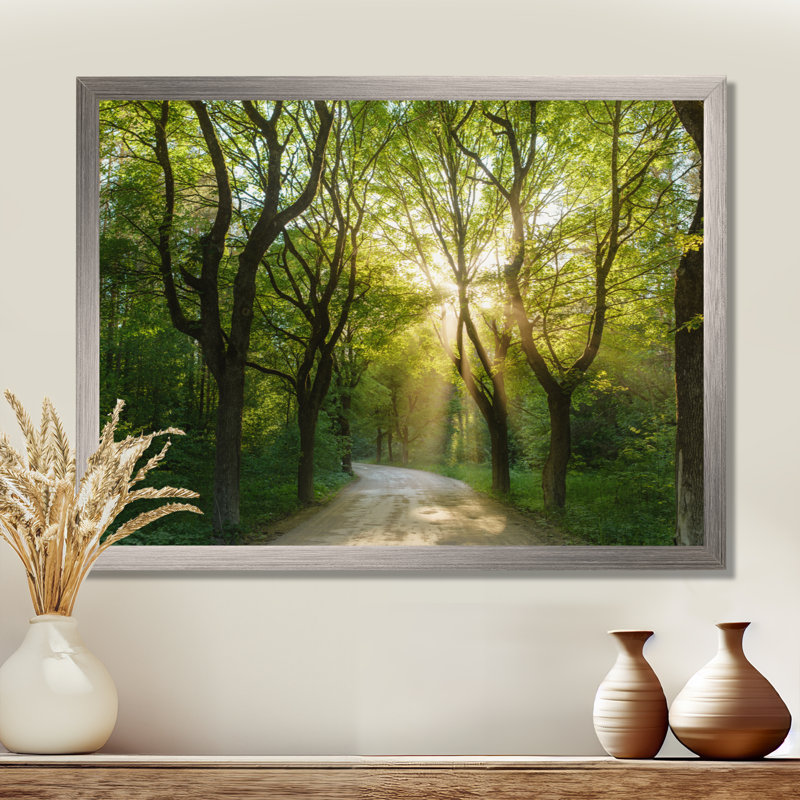 «Evening in Green Forest», art mural sur toile, H 12 po x l 20 po, Cadre photo argenté