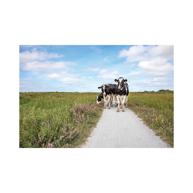 Cows On The Road by Clara Bastian - Wrapped Canvas Print, 20.32 cm H x 30.48 cm W