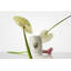 La Rose Jar Candle