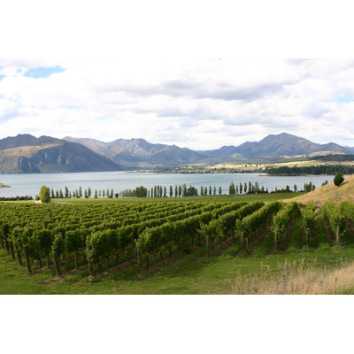 Lakeside Vineyard by Morgan1112 - Wrapped Canvas Print