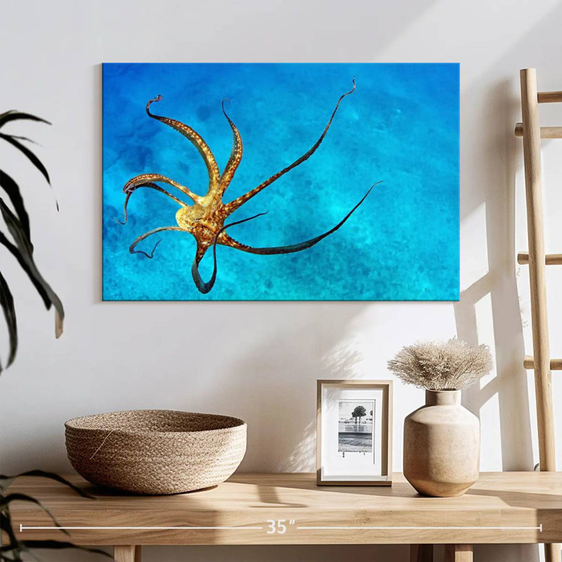 Brampt Wild Octopus Tentacles, 16" H x 24" W