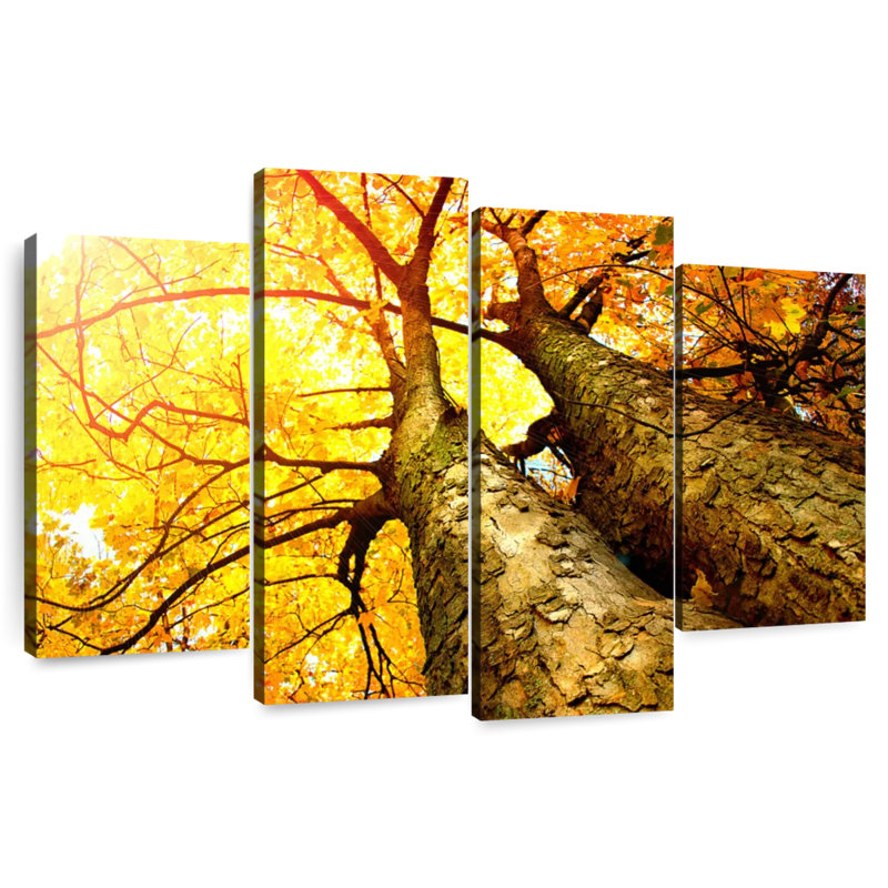 Paysage d'automne doré Alvord, H 48 po x l 75 po