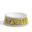 Florentine Turquoise Pet Bowl 17cm 6.6in-1211584177