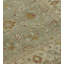 Agra Wool Oriental Area Rug in Beige