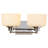2 - Light Dimmable Vanity Light