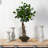 24'' Faux Tree in Planter