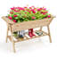 Kincaid Wood Raised Garden Bed