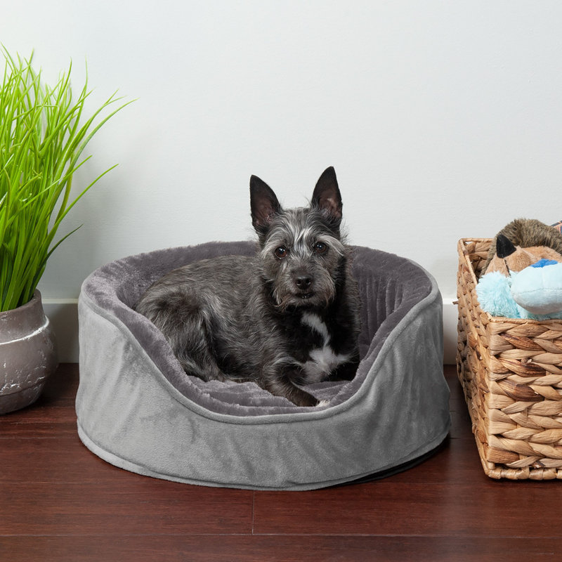Plush & Velvet Oval Dog Bed, Extra Large (30" W x 27" D x 6" H), Smoke Gray