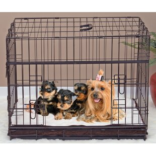 travel dog crate collapsible