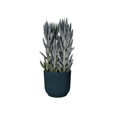 Pot Planter
