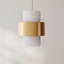 Luminaire suspendu cylindrique à 1 lumière Wathen-88566694