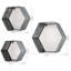 Vrinda 3 Piece Hexagon Metal Floating Shelf