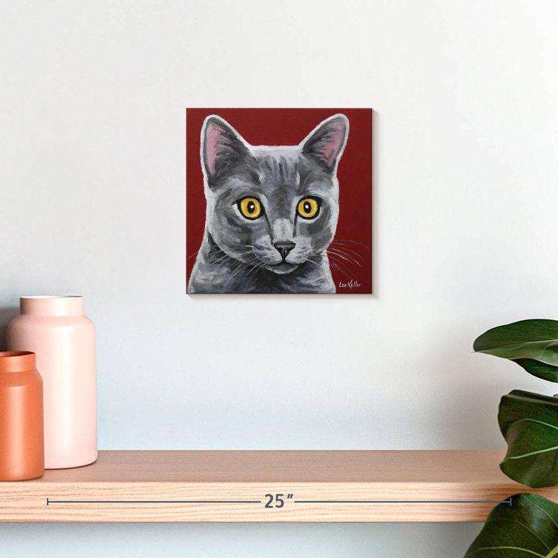 Crowle Gray Cat Oliver