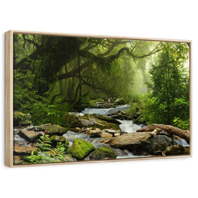 Forêt tropicale du Népal