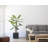 Hodges 87.5 " H Faux Bamboo Tree