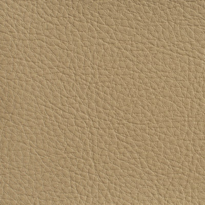 Faux Leather Fabric