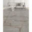 Wool Floral Area Rug in Gray
