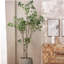 ARBRE À PIERIS 240CMTIFTIFS-954770911