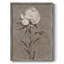 «Pretty as a Peony II», reproduction encadrée - bois massif-612551977