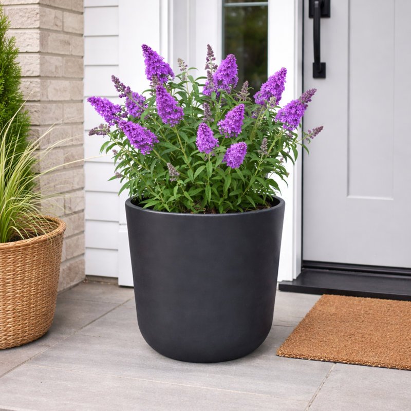 Ashley Round Egg Planter, Concrete Effect, Indoor and Outdoor Round Plant Pot with Drainage Hole, 25cm H x 25cm W x 25cm D