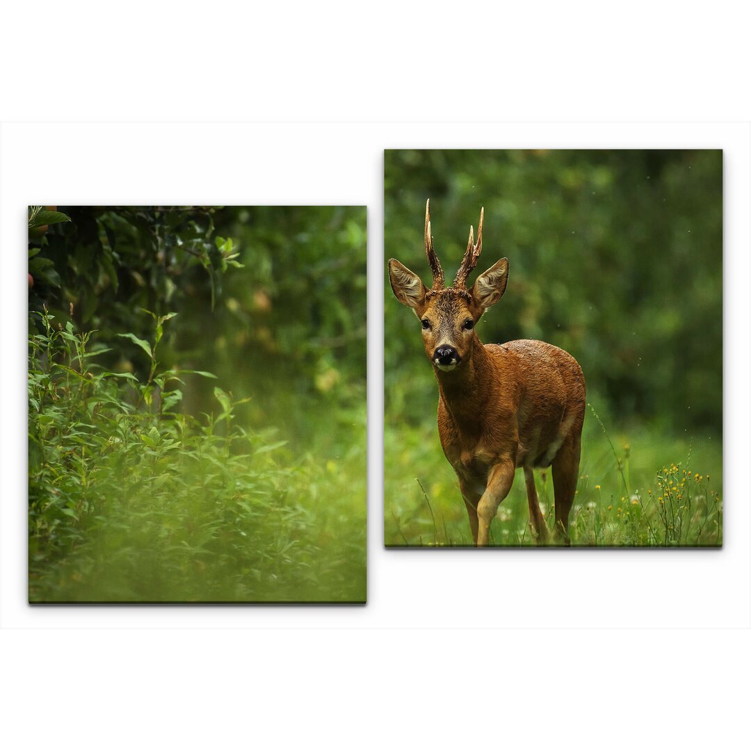 2-tlg. Leinwandbilder-Set Wald Atmosphäre