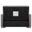 Wetherly 2 Seater Pull Out Sofa Bed, Convertible Loveseat For Small Homes & Student Dorms-1176615078
