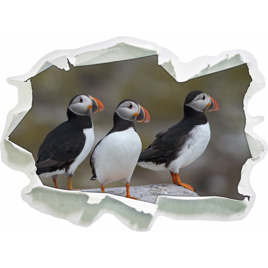 Papageientaucher Familie auf einem Felsen Wandaufkleber