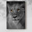 Portrait de lionne - galerie Cavas-108828361