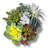 Succulent Design in Off-White Circular Ceramic Vase