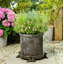 Eilis Weather Resistant Planter Feet