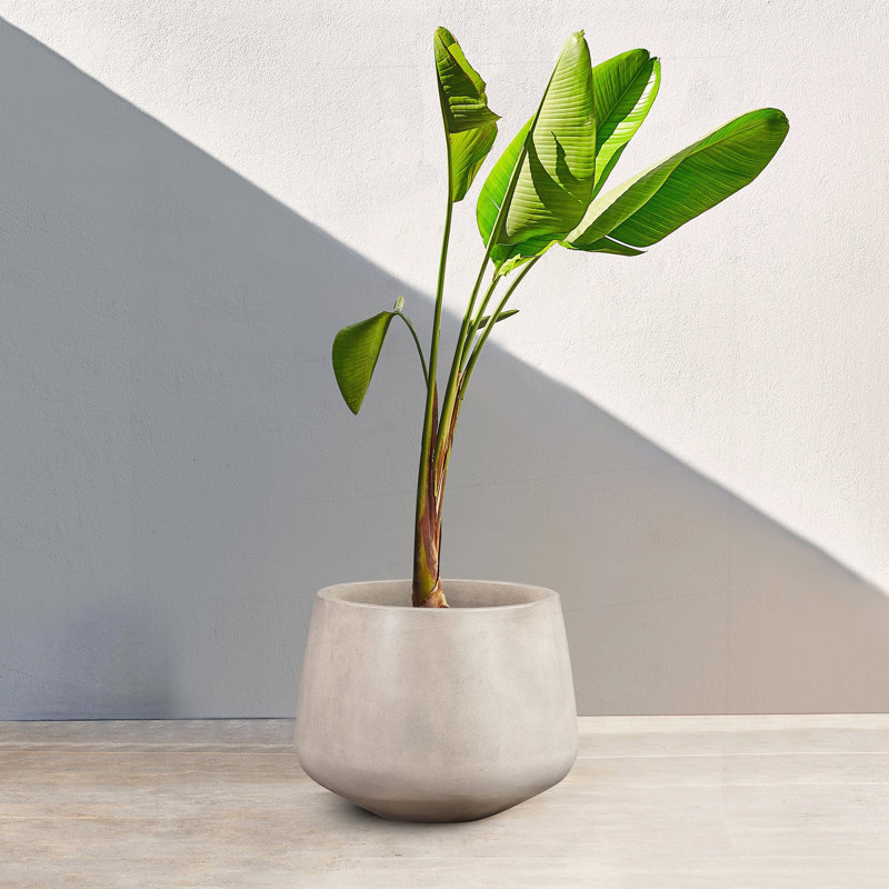 Pot à fleurs Améthyste moyen rond en béton blanc léger pour intérieur et extérieur, design minimaliste moderne, durable et facile à entretenir.