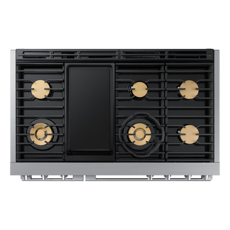48" Dual Fuel Pro-Range 6 Burners With Griddle, Transitional, Silver, NG/LP