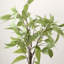 Arbre d'eucalyptus artificiel 42,1 po