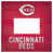 Cincinnati Reds