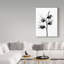 « doux pea x ray », reproduction de photo sur toile tendue-31881796