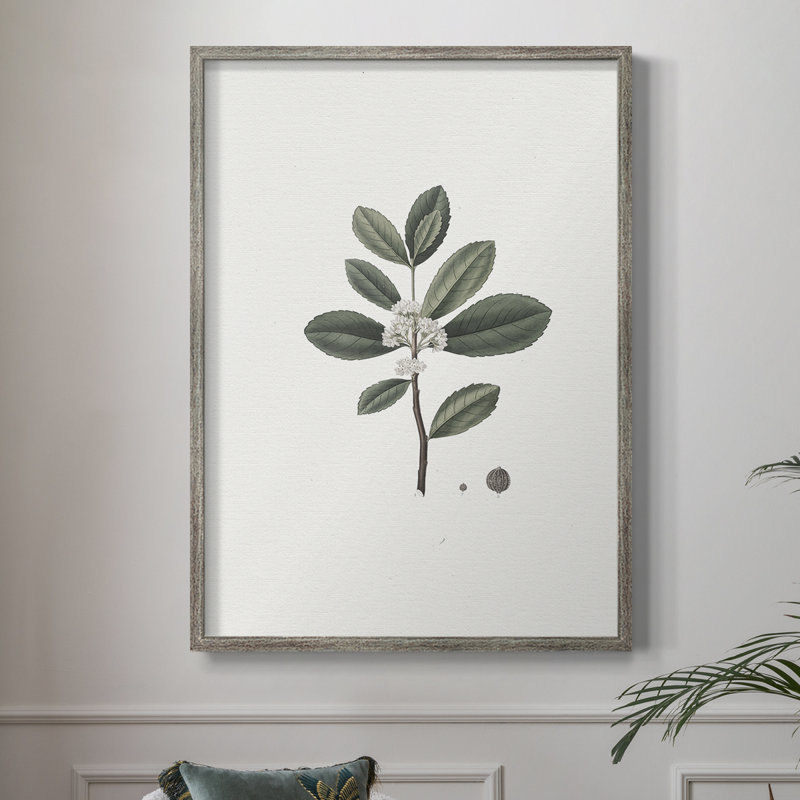 Impression florale vintage encadrée CLxxxii - bois massif, H 15 po x l 12 po
