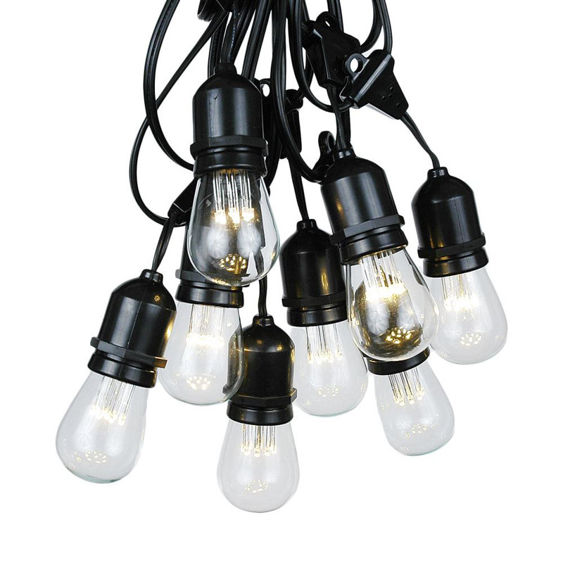 48-Foot Black Wire Warm White LED Outdoor String Lights with Clear Bulbs
