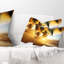 Coucher de soleil sur la mer des Caraïbes - coussin à imprimé paysage-29866009-89810768