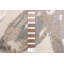 Tapis intérieur / extérieur Mccai-71061186