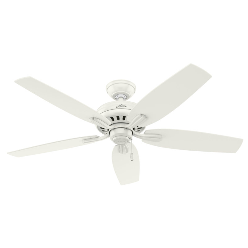 Newsome 52" 5 - Blade Traditional Indoor Ceiling Fan with Pull Chain, Fresh White