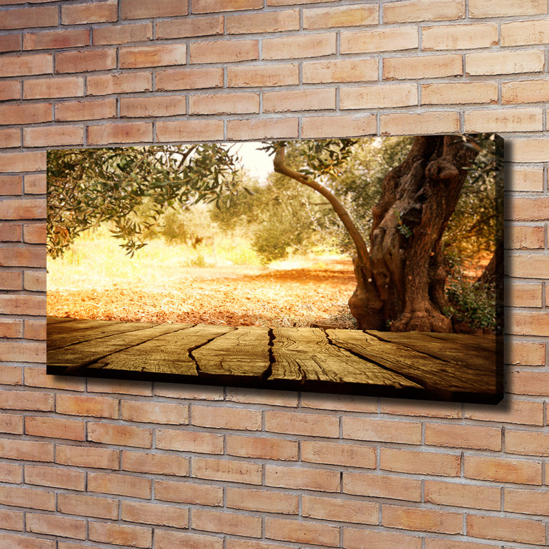 Olive Tree - Wrapped Canvas Print