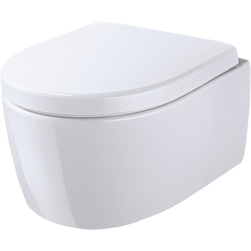 Wall Hung Toilet with soft close seat